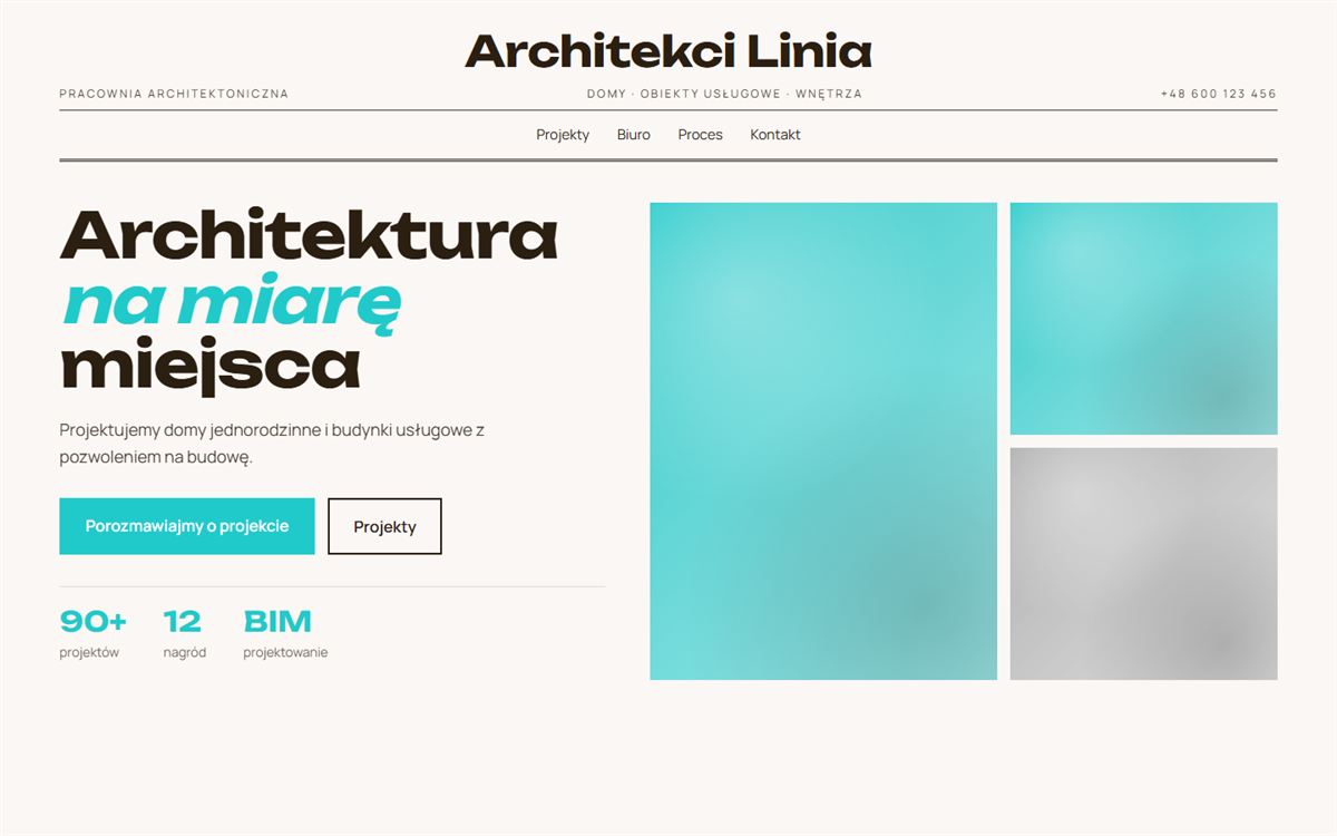 Projekt przykładowy: Architekci Linia