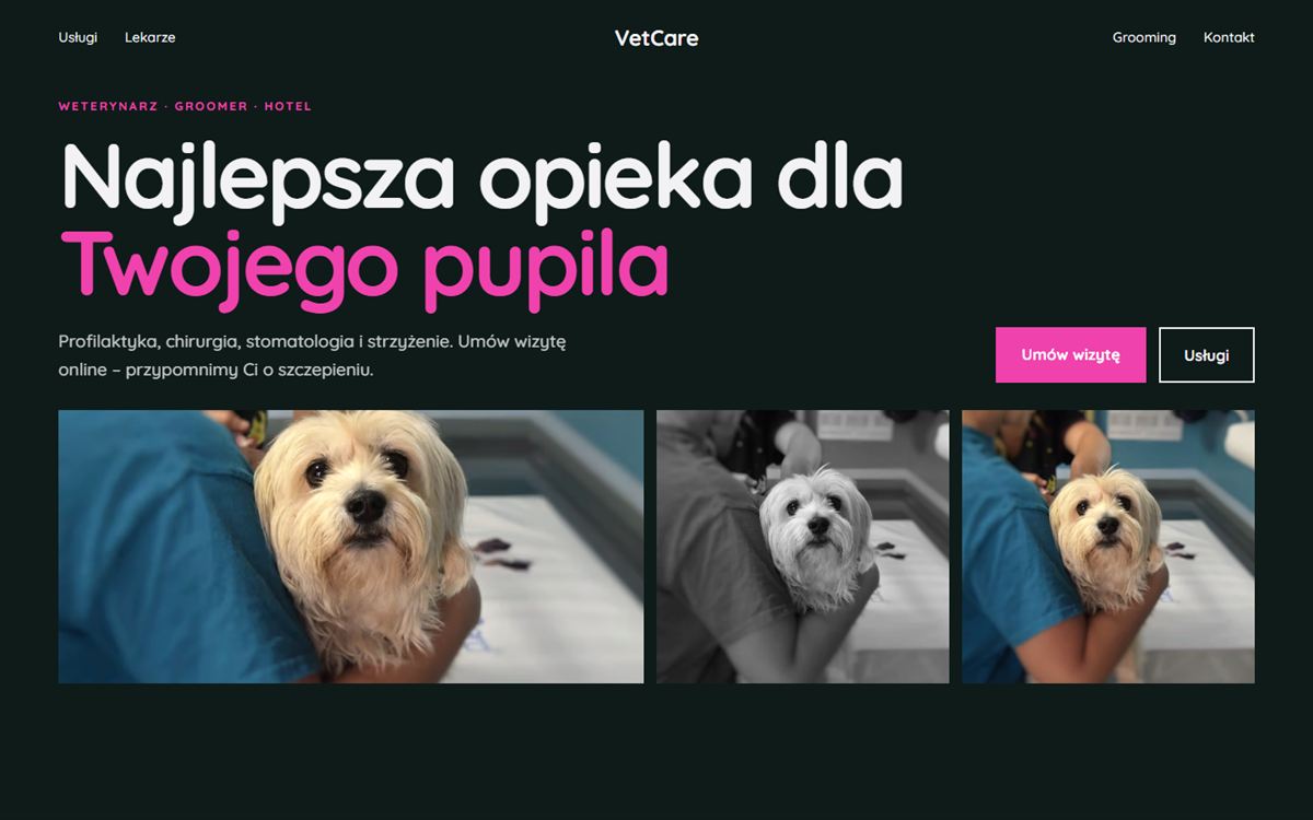 Projekt przykładowy: VetCare