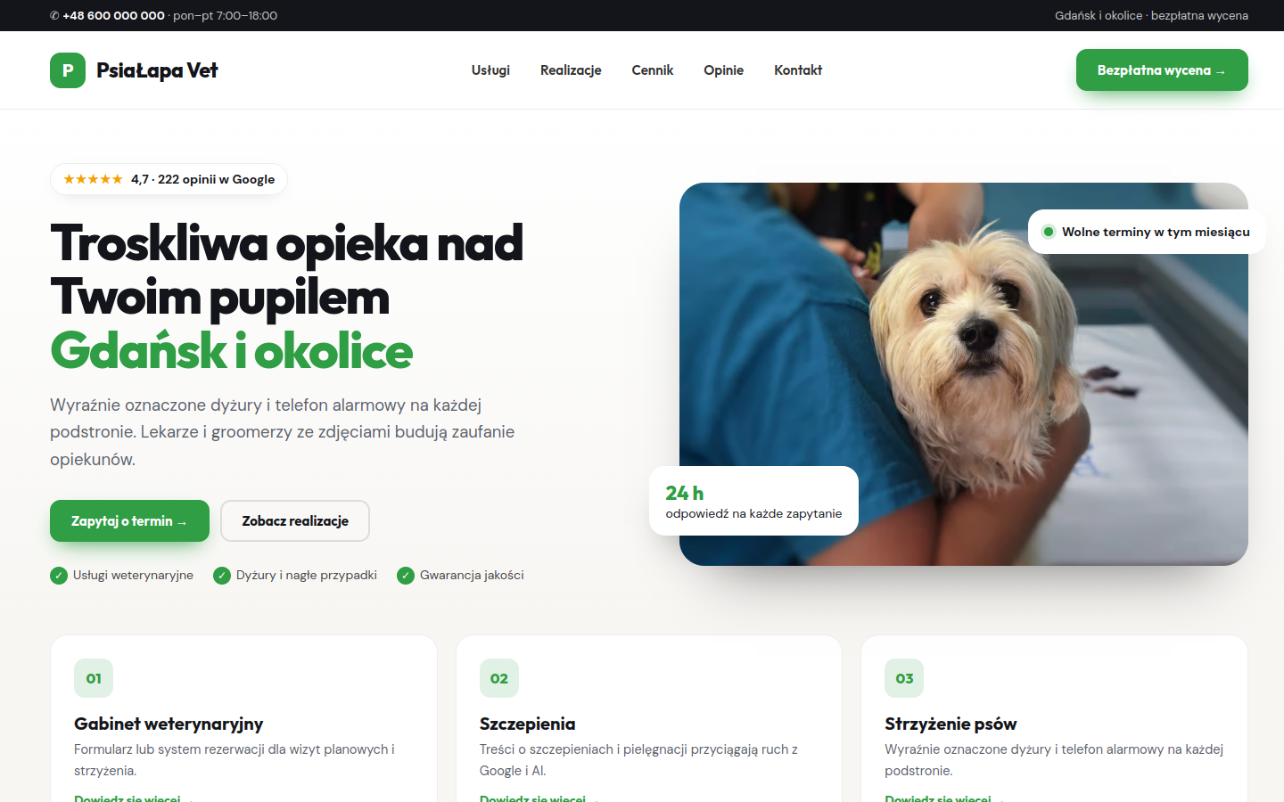 Przykładowa strona internetowa Novi dla branży: Weterynarze i groomerzy